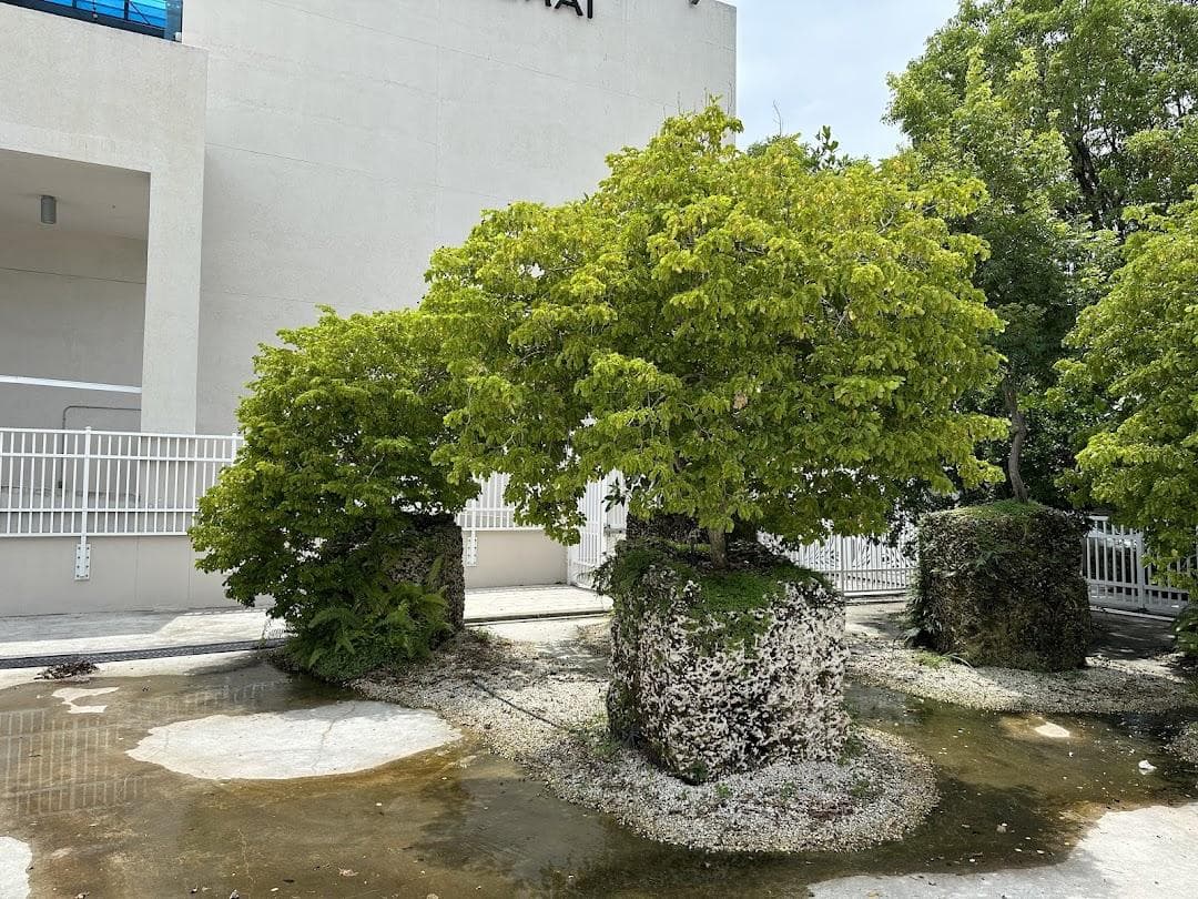 Jungle Plaza photo 1