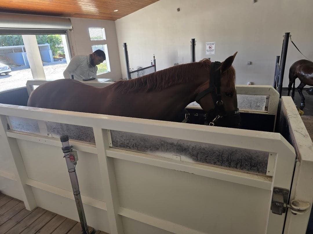 Wellington Equestrian Center photo 6