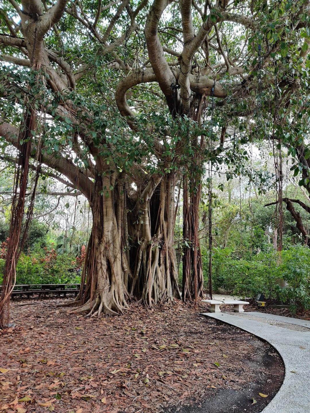 Deering Estate photo 5