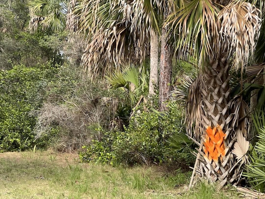 Gomez Preserve Nature Trail photo 5