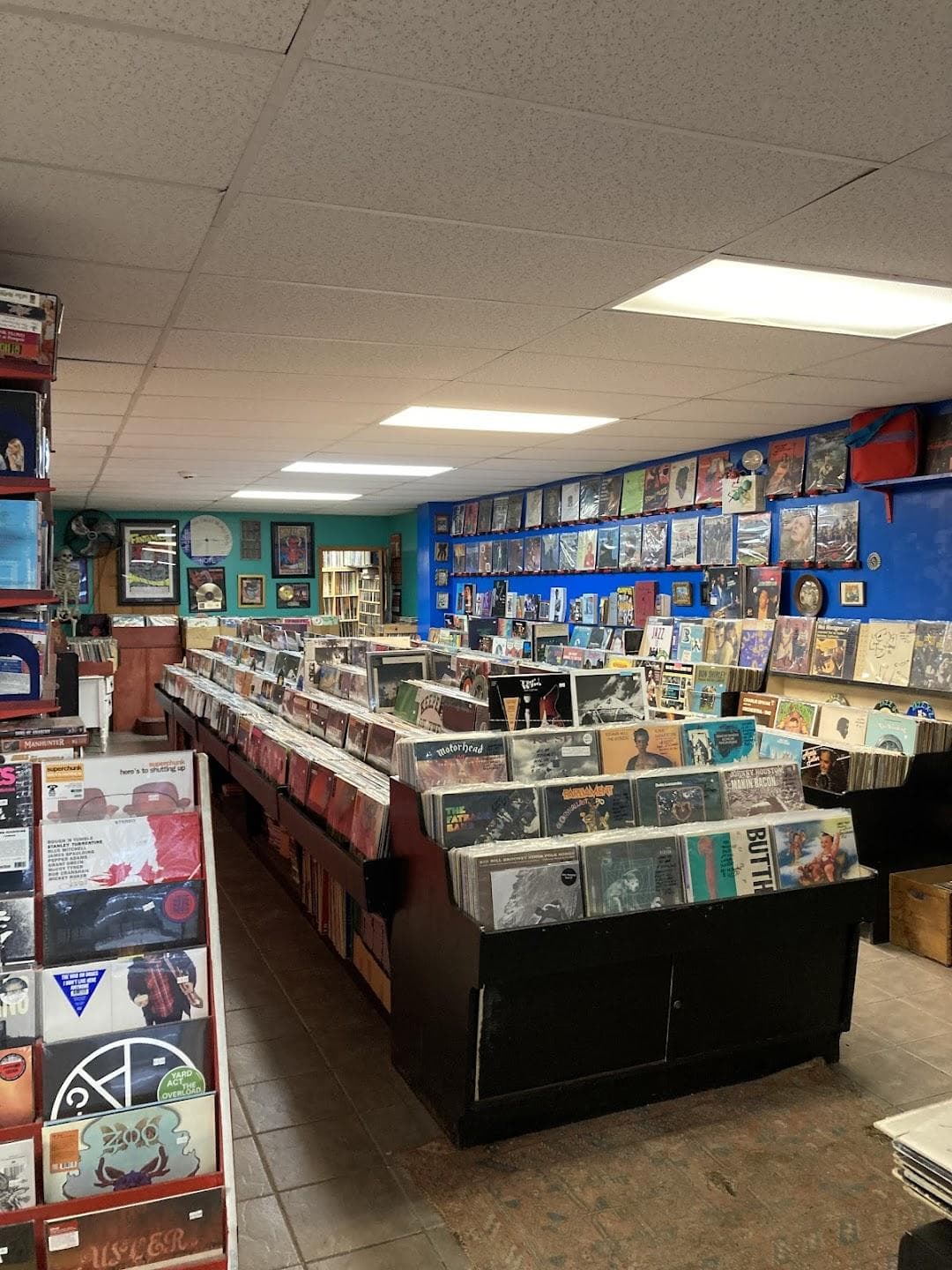 Long In the Tooth photo 1