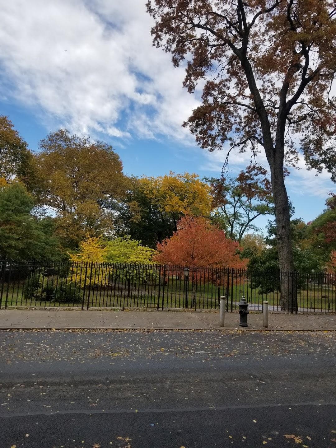 St. James Recreation Center photo 3