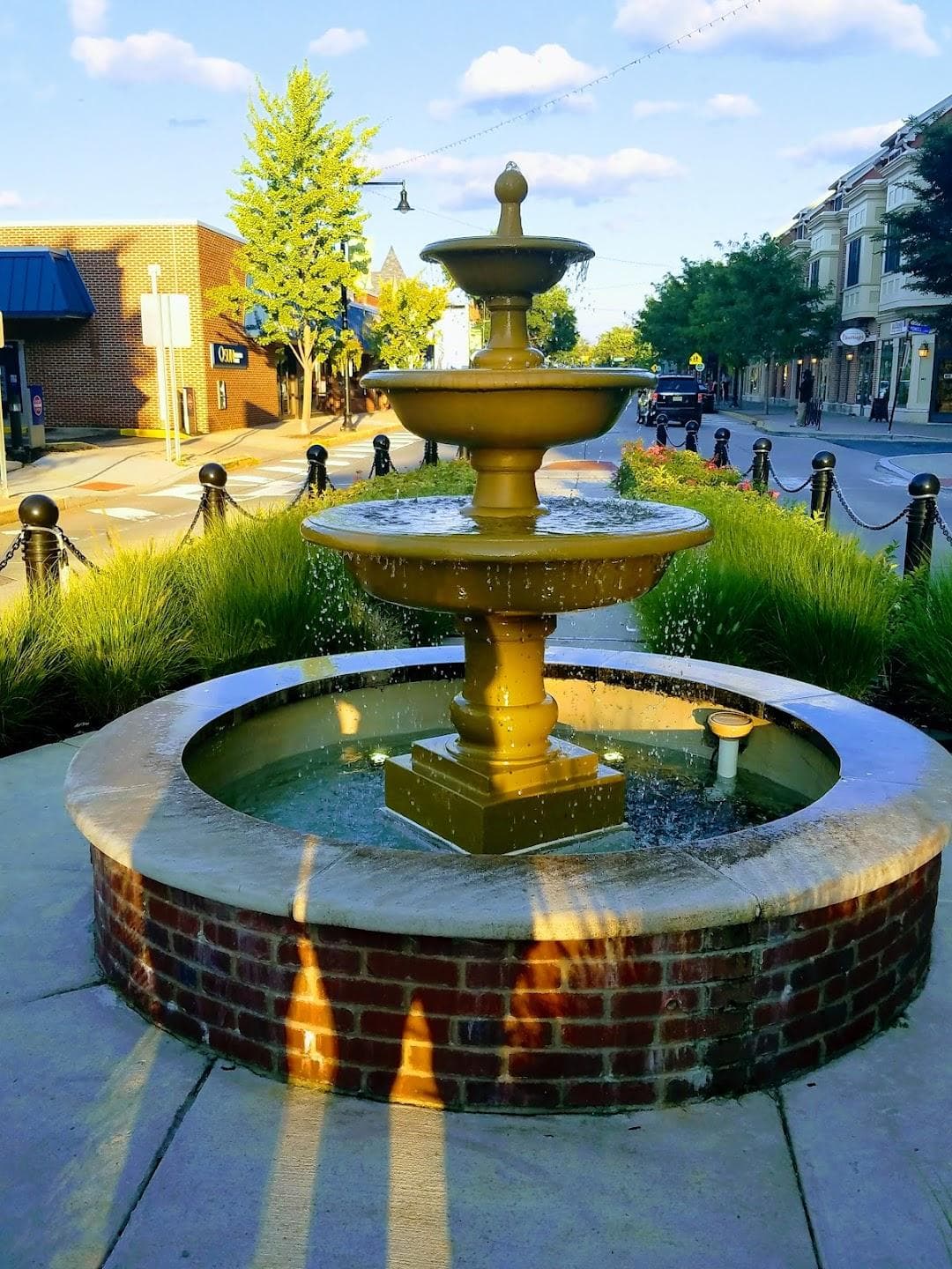 Collingswood photo 3