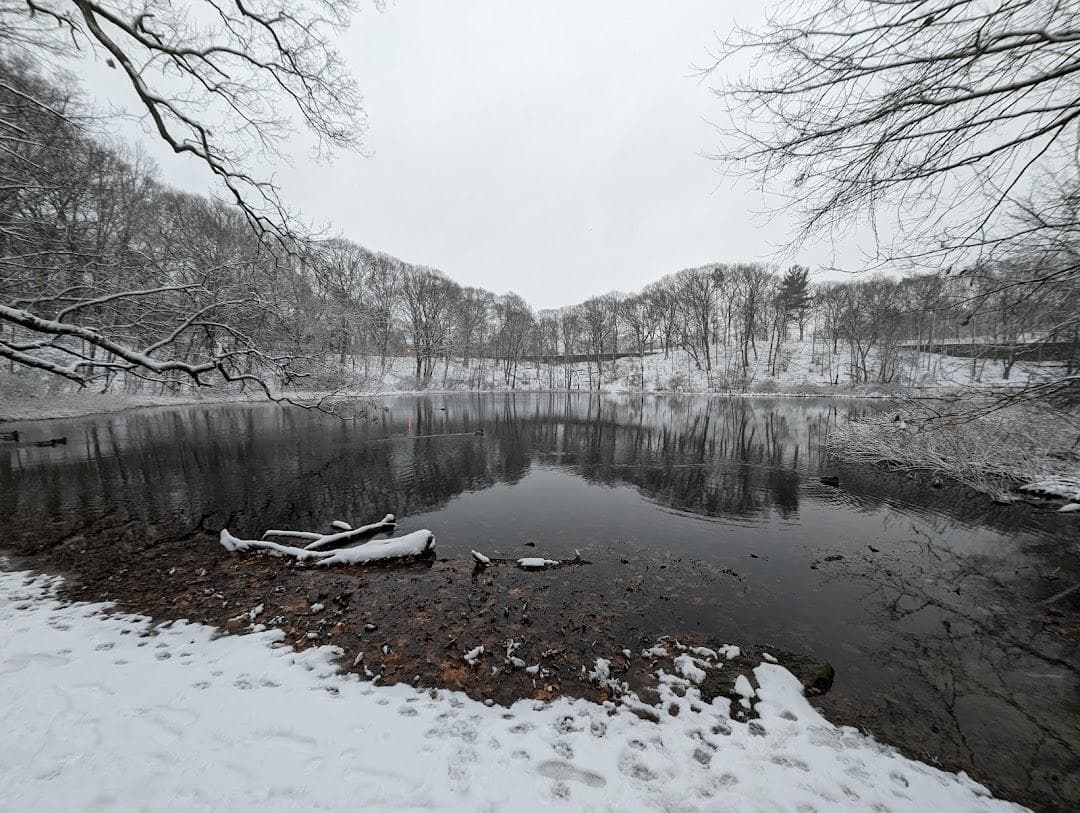 Olmsted Park photo 6