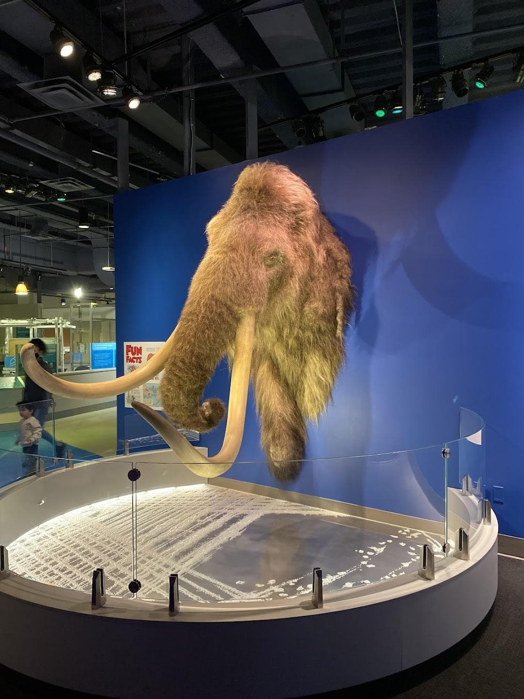 Liberty Science Center photo 4