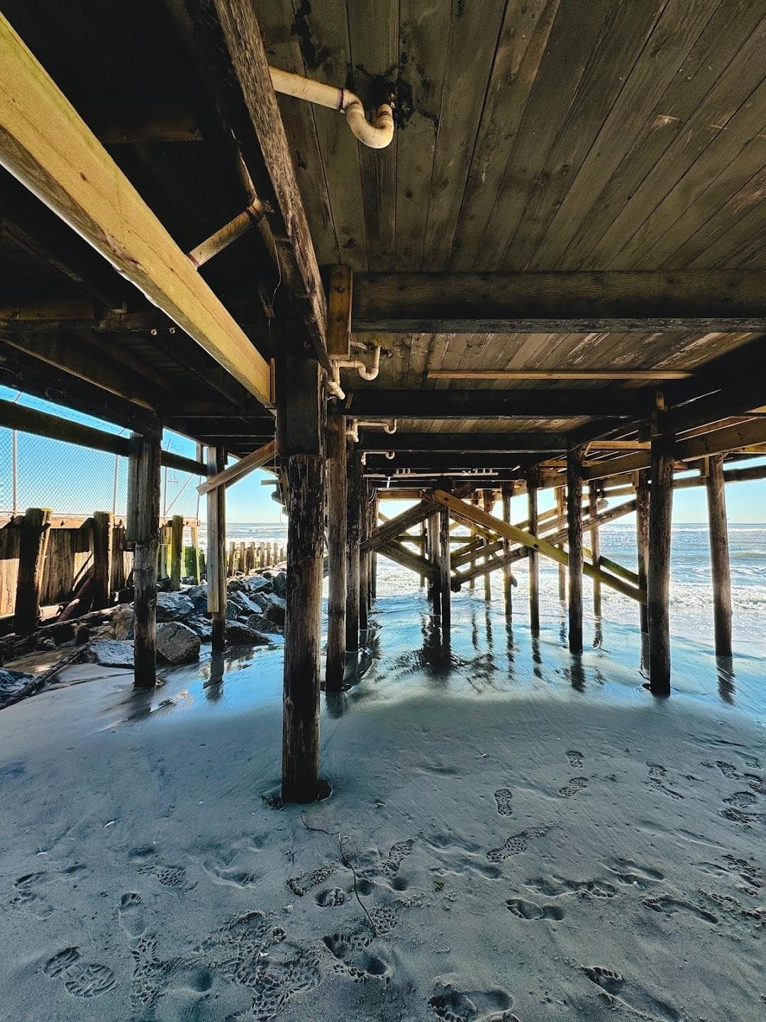 Silver Gull Beach Club photo 1