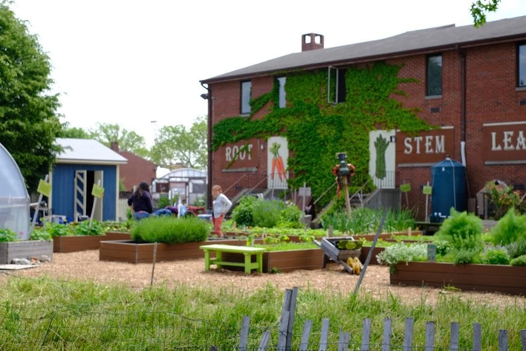 Governors Island Teaching Garden photo 6