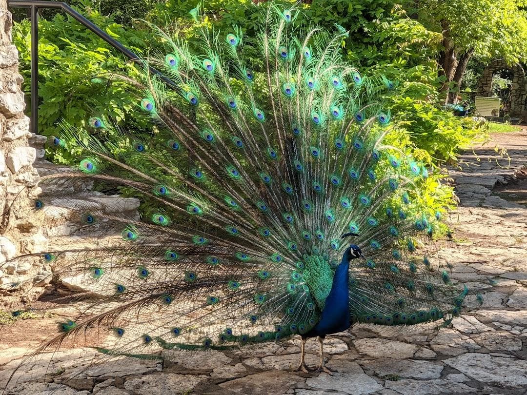 Mayfield Park and Nature Preserve photo 4