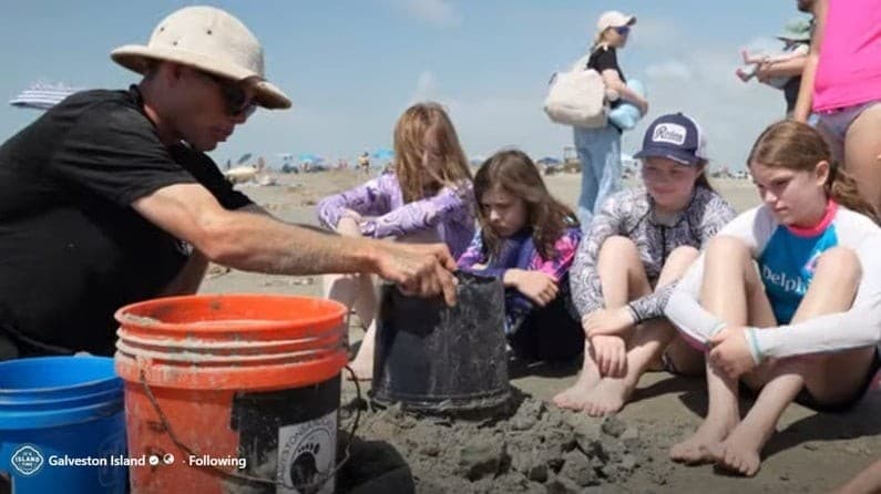 FREE Sandcastle Building Lessons