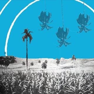 The Presence of Absence (A Cuban Nocturne)