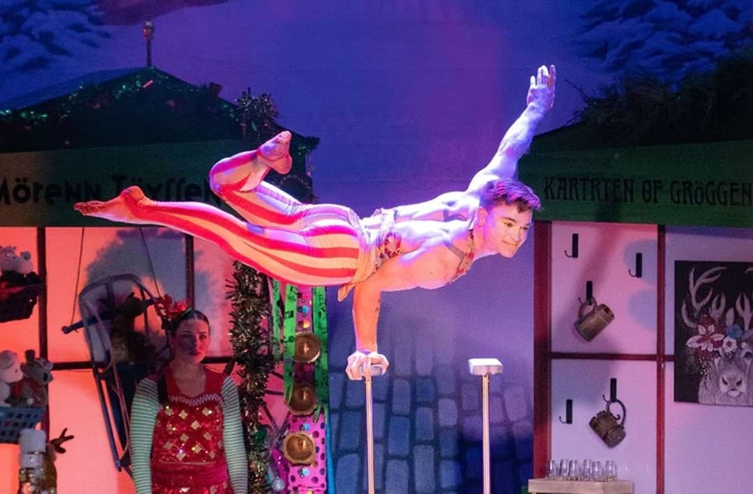 Cirque Dreams Holidaze
