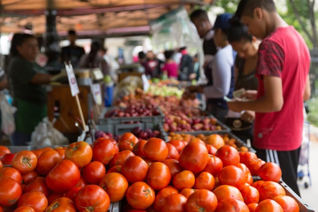 Bronx Borough Hall Greenmarket Opening