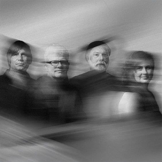 The New Pornographers