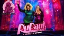 Big Wig Drag Race Brunch: The Ultimate Drag Experience
